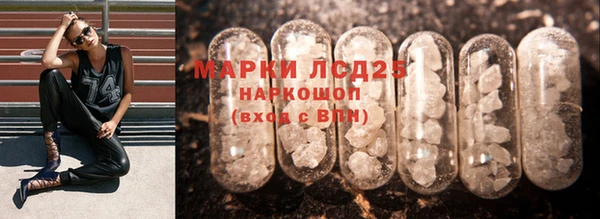 spice Верея