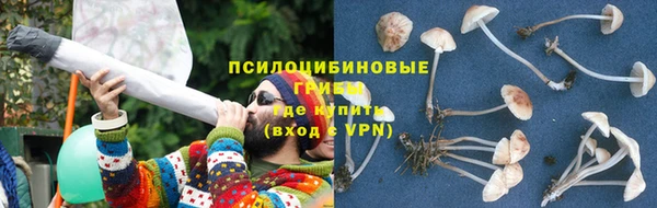 spice Верея
